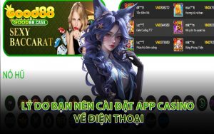 Lý Do Bạn Nên Cài Đặt App Casino Về Điện Thoại