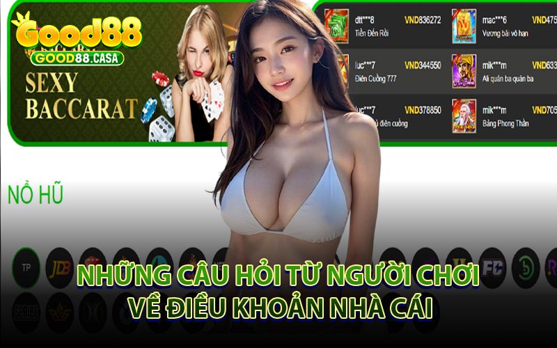 Những Câu Hỏi Từ Người Chơi Về Điều Khoản Nhà Cái